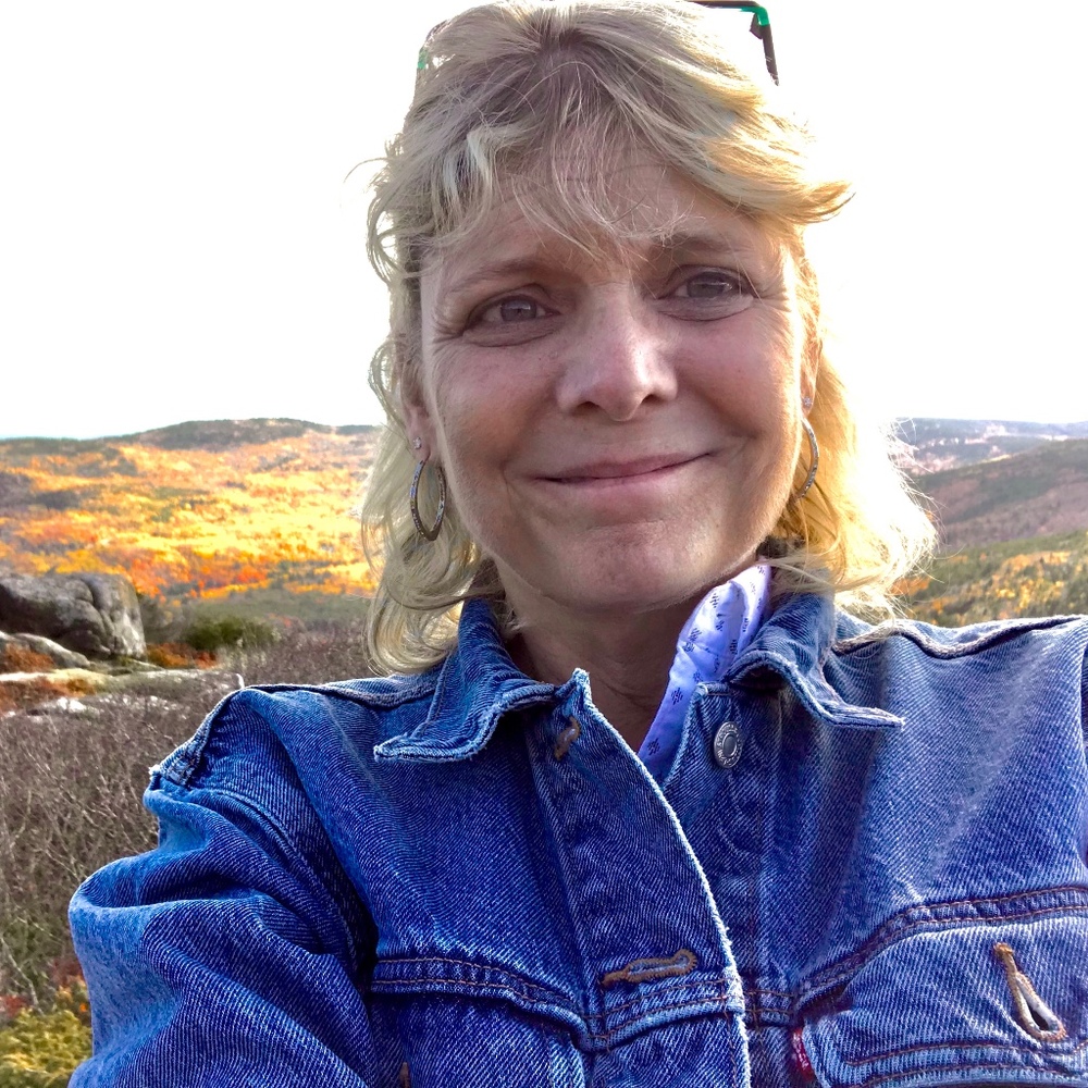 Meet your Posher, Dawn